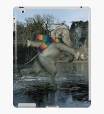 Thin Ice iPad Case/Skin