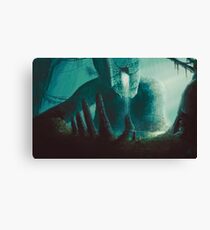 Erosion Canvas Print