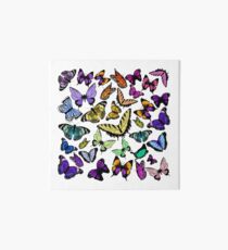 Schmetterling Art Board
