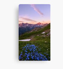 Alpenglow Canvas Print