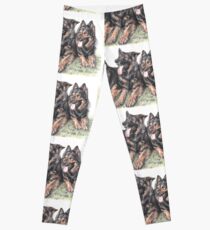 Longhaired German Shepherds Leggings