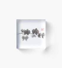 Curious orchid sumi-e painting Acrylic Block