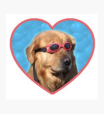 Lámina fotográfica Pegatinas Doggo: Perro Nadador