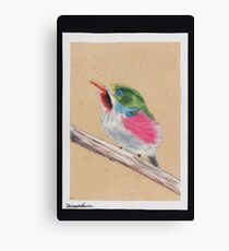 Colorful Bird Canvas Print