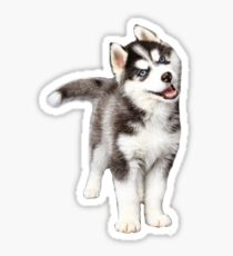 heiser Sticker