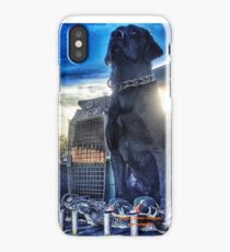 Black Lab - Mallard Down iPhone Case
