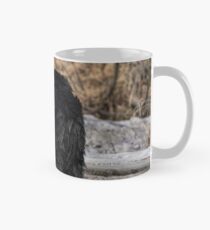 Just A Little Wet - Black Bear Mug