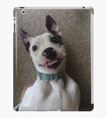 Silly Pitbull iPad Case/Skin