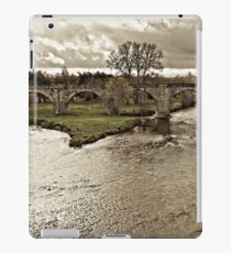 Crossing the Rhone iPad Case/Skin