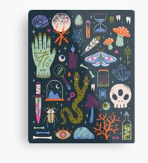 Curiosities Metal Print