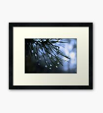 Raindrop Framed Print