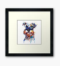 Schnauzer Head Framed Print