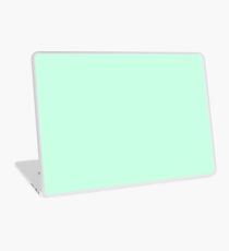 Beautiful Cushions/ Plain Aero blue Laptop Skin