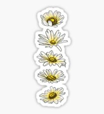 Daisies Sticker