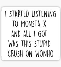 Pegatina Wonho | Stupid Crush