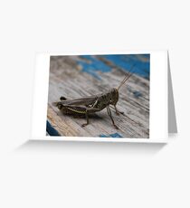 Hopper2 Greeting Card