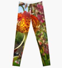 Granny's bonnet Leggings