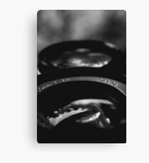 28 and 50 ver 2 Canvas Print