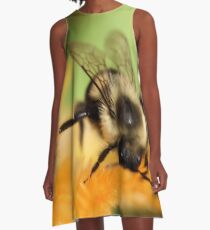 Bee A-Line Dress