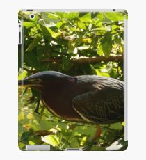 hunting bird - pájaro cazando iPad Case/Skin