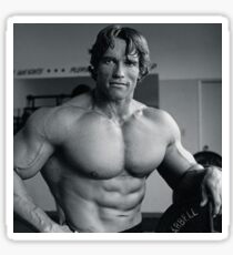 Arnold Schwarzenegger Sticker