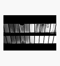 ceiling windows Photographic Print