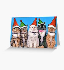 Jingle Cats Greeting Card