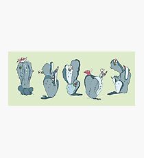 Cactus Community Photographic Print