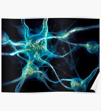 Neuron network Brain cells art photo print Poster
