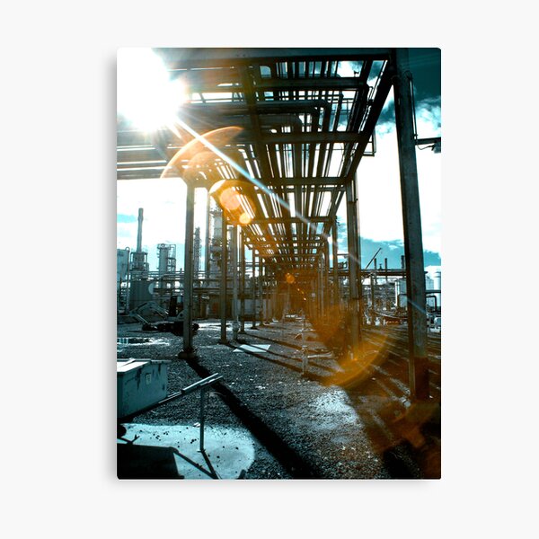 The Joils of Infrared Photography Canvas Print