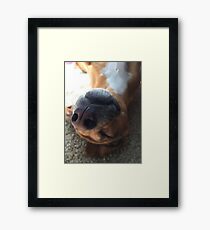 Max Framed Print