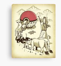 Gotta catch them all 2 by 2... Canvas Print