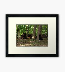 Well protected baby Framed Print