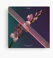 Flume Canvas Print