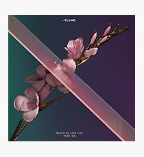Flume Photographic Print