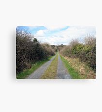 Country road Canvas Print