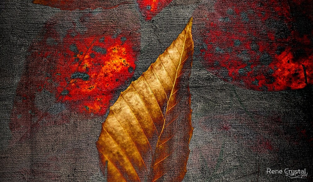 Autumn's Concrete Impression by Rene Crystal
