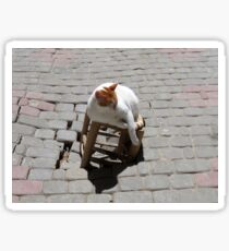 Chat faineant Sticker