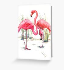 Pink Flmaingos Greeting Card