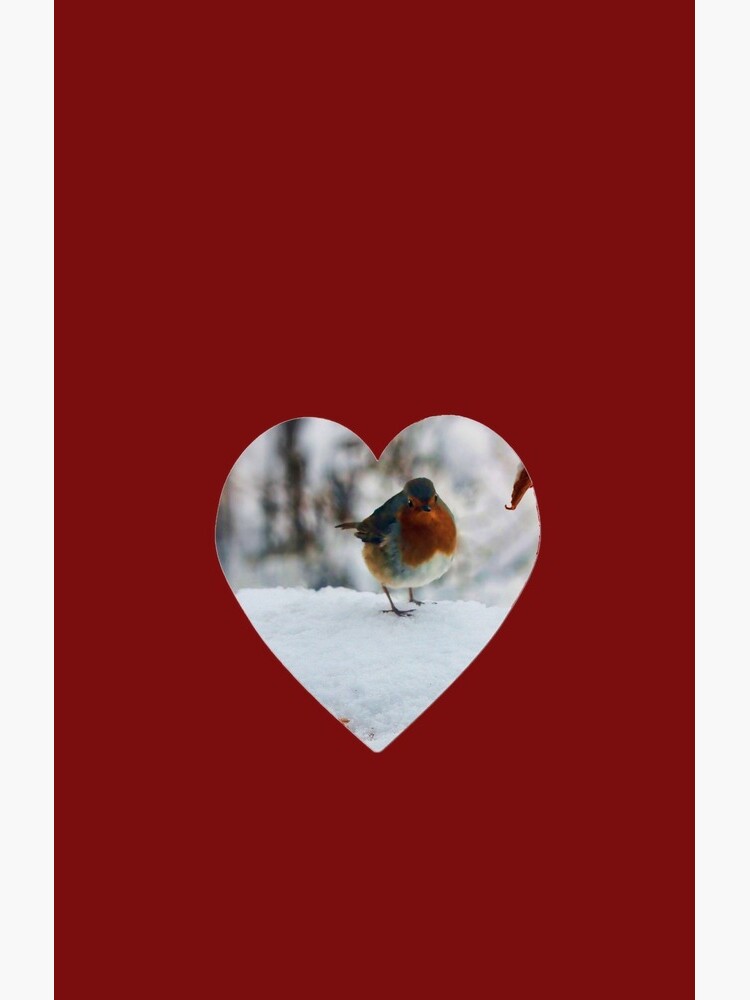 Robin Redbreast by valzart