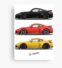 race reptiles Canvas Print