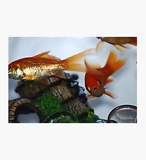 Shocked Photographic Print
