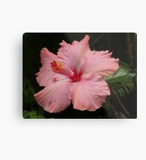 All Wrapped Up Metal Print