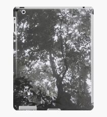 Skyrail, North Queensland, Australia iPad Case/Skin
