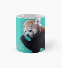 Red Panda in Blue Mug