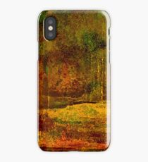 Clearing iPhone Case