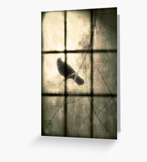 Bird Outside Greeting Card