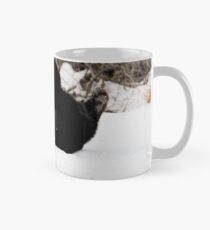 Play Time - Black Bear Mug