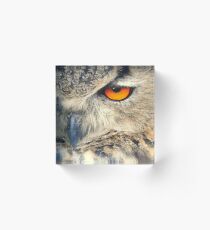 Owl Eyes Acrylic Block