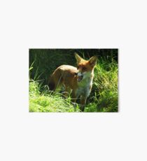 Canines Art Board